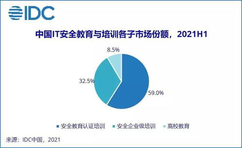 IDC报告揭示 2021上半年中国网络安全服务市场迎爆发，网络与信息安全软件开发成核心引擎