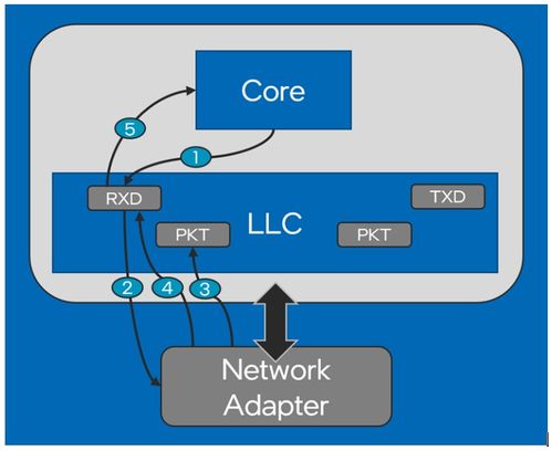 英特尔以太网800系列网络适配器 在DPDK上的性能演进与网络信息安全软件开发启示